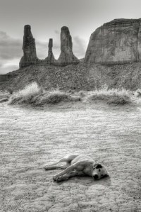 avatars-000001187330-2w1u9v-crop