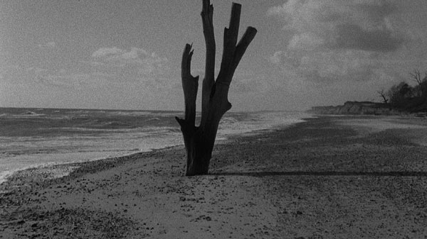 Patience_After_Sebald_still_1