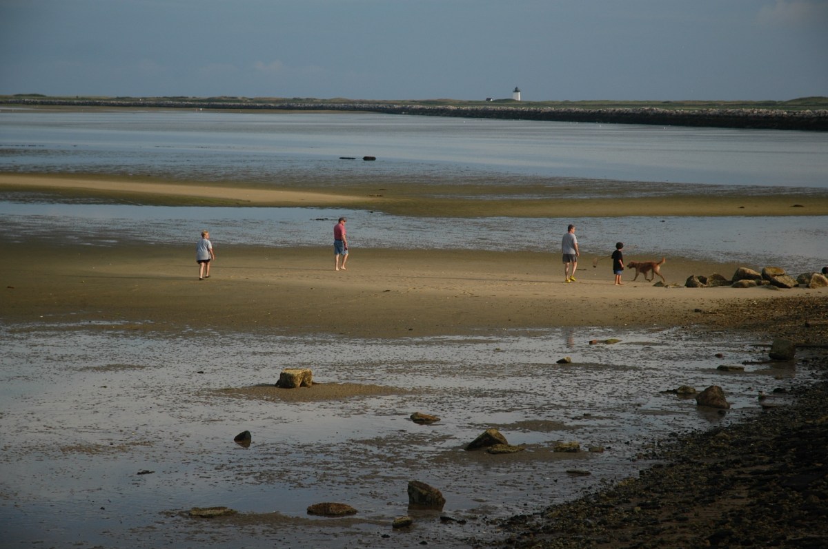 Treasure Hunting at Low Tide by Leo Brady