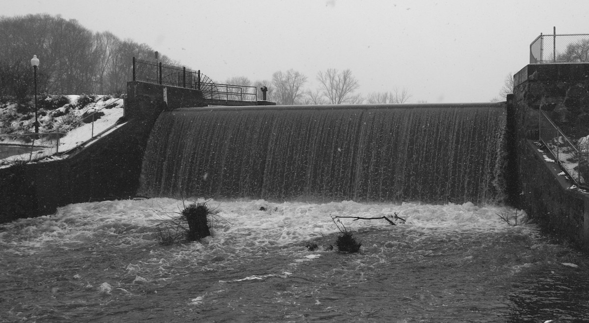 2013_0307ACCRUPLBRADY