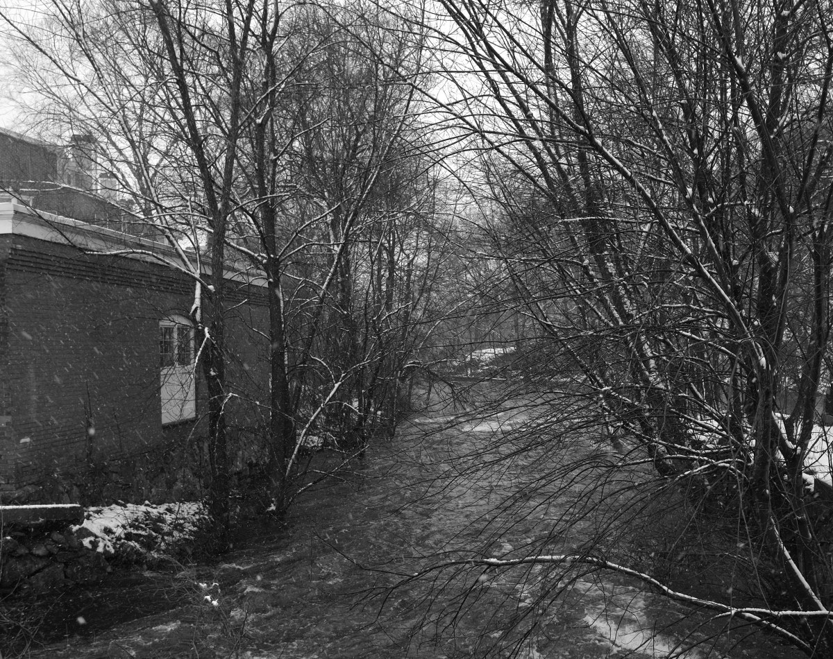 2013_0307AIUPCRLBRADY