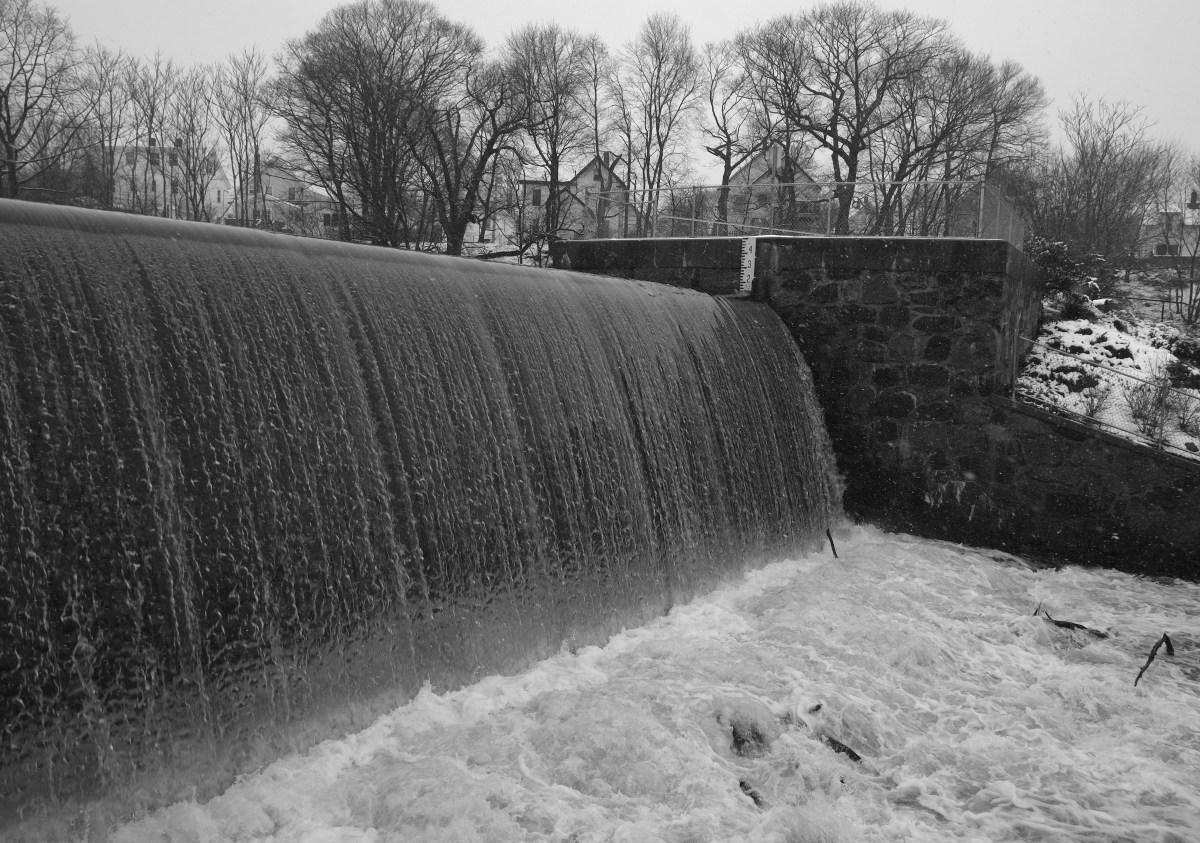 2013_0307AUCRUPLBRADY