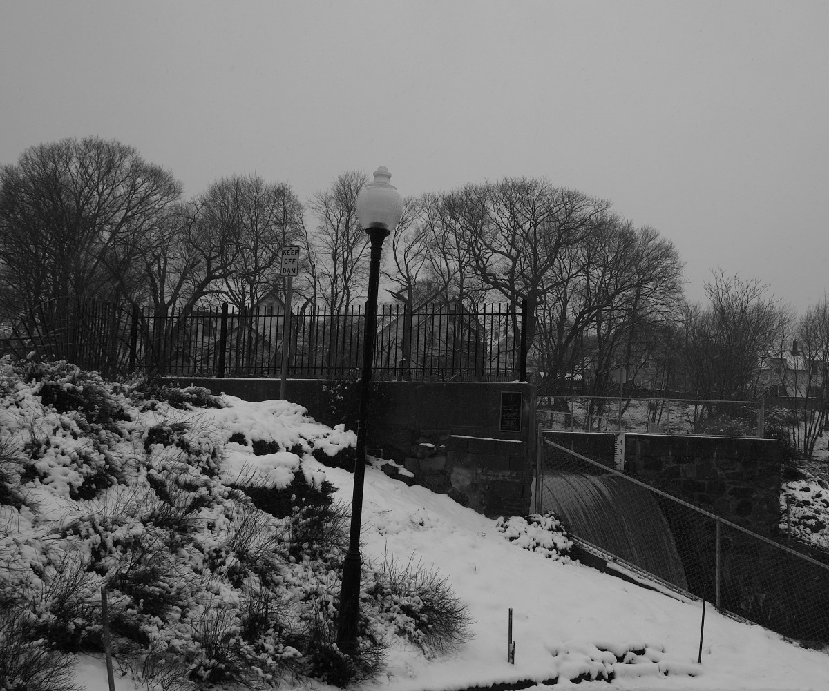 2013_0307BDCRUPLBRADY