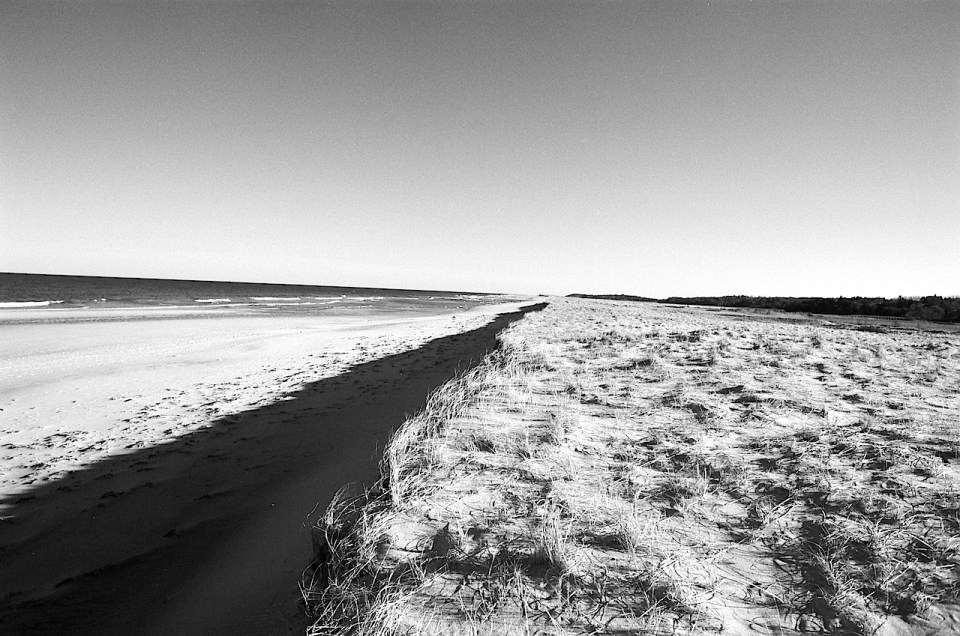 SandyNeck_Ilford_LBradyVF