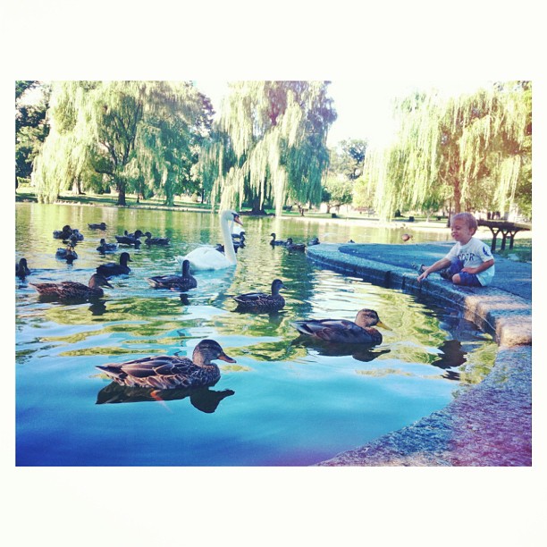 d9f7a48017df11e3adbc22000a9e17d5_7