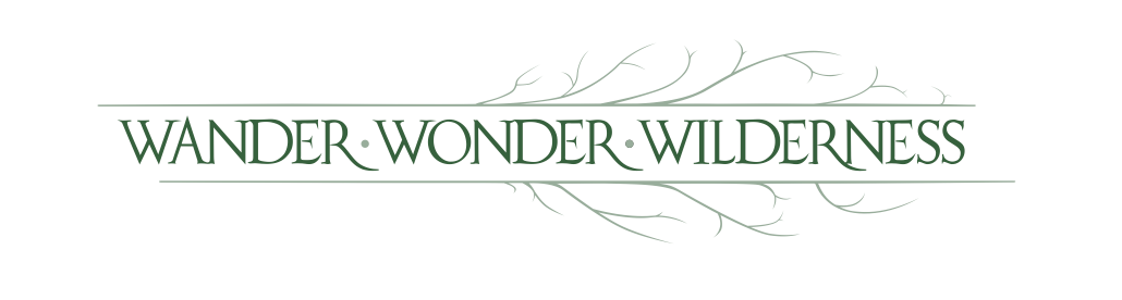 60521259-457d-47cc-9167-ddb5e789d511