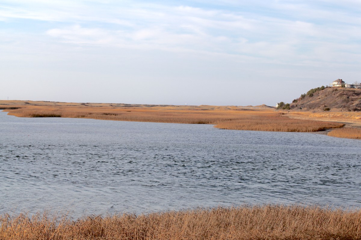 IMG_0094_realreality productions_2015_12_11