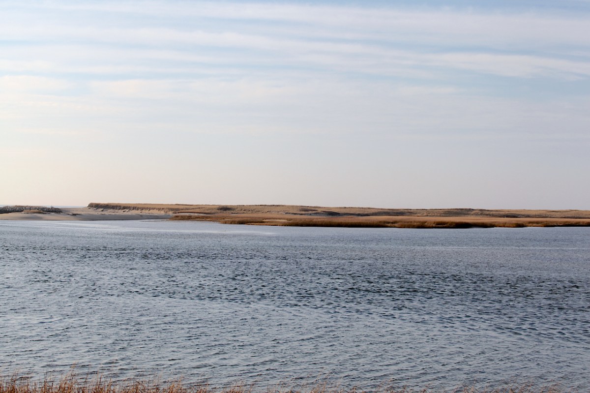 IMG_0097_realreality productions_2015_12_11