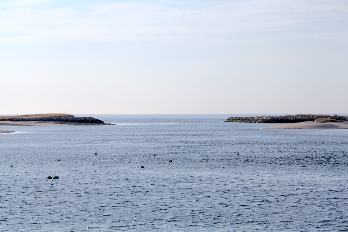 IMG_0105_realreality productions_2015_12_11