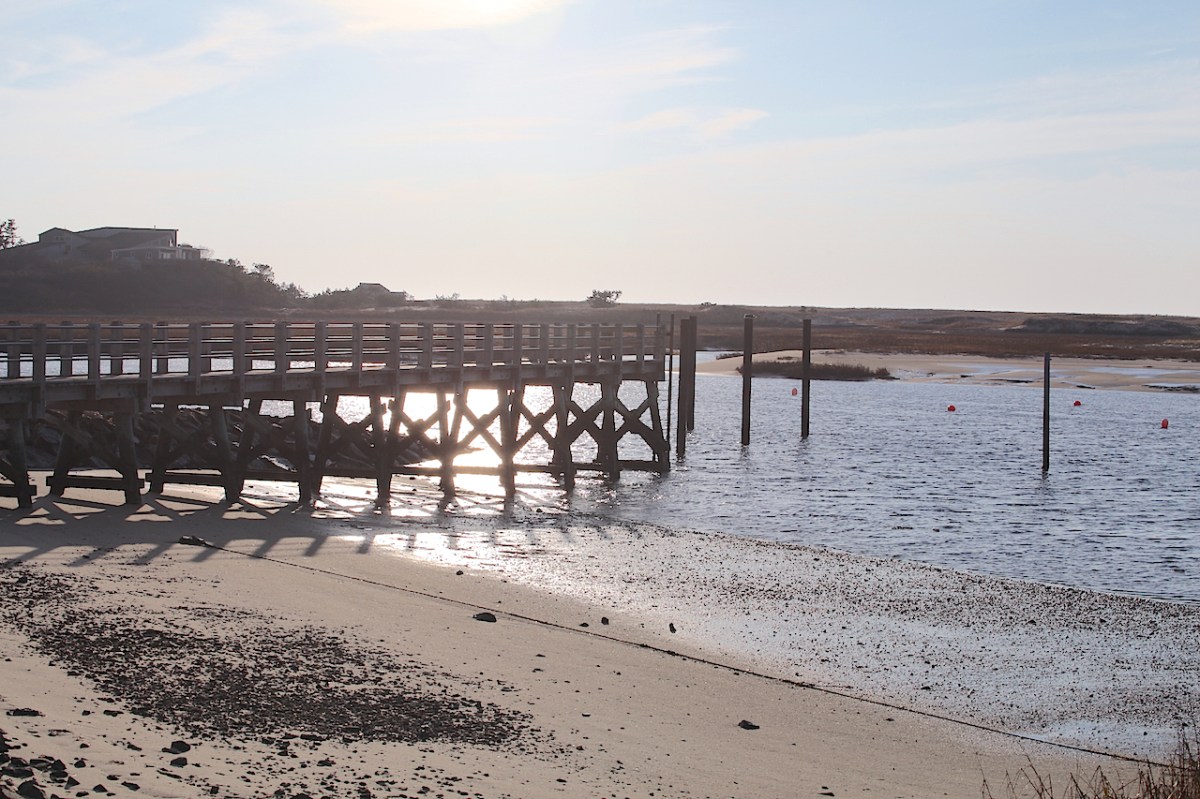 IMG_0107_realreality productions_2015_12_11