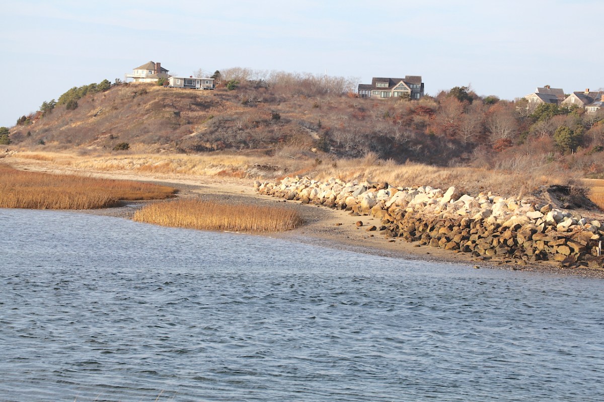 IMG_0110_realreality productions_2015_12_11