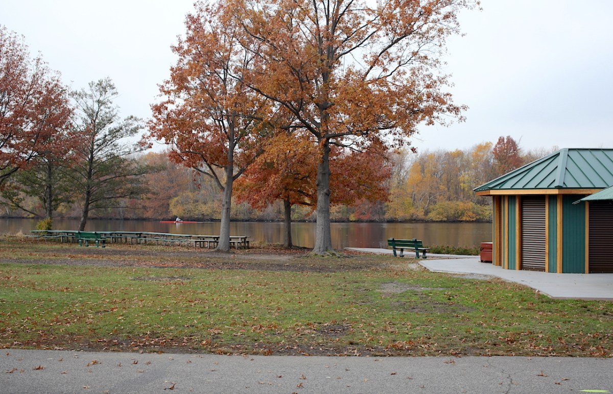 2014_11_12_IMG_0173UP