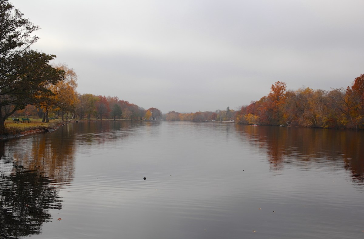 2014_11_12_IMG_0175UP