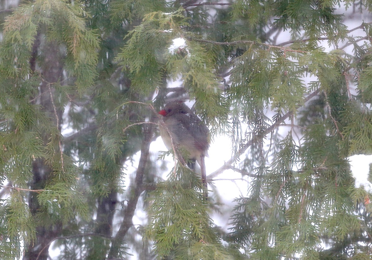 IMG_0215_realreality productions_2016_04_04