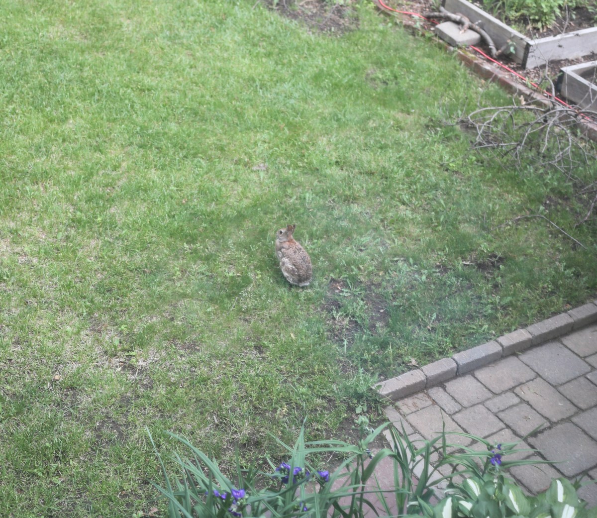 IMG_0257_realreality productions_2016_05_30UP