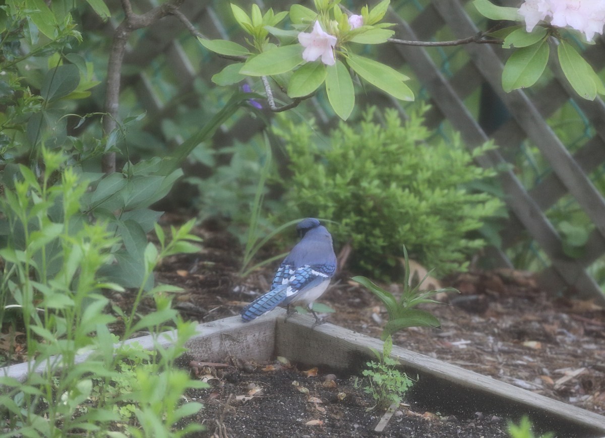 IMG_0267_realreality productions_2016_05_31UP