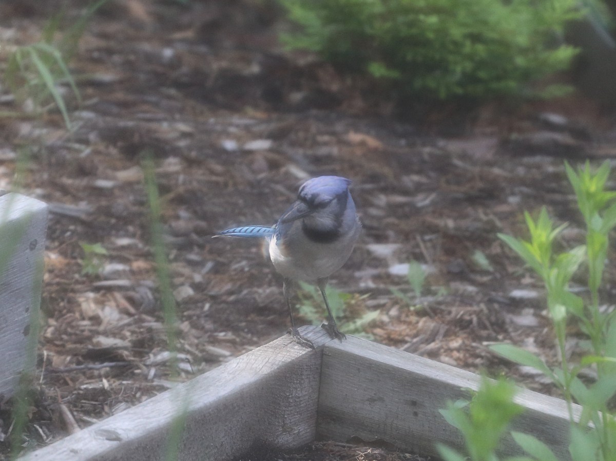 IMG_0283_realreality productions_2016_05_31UP