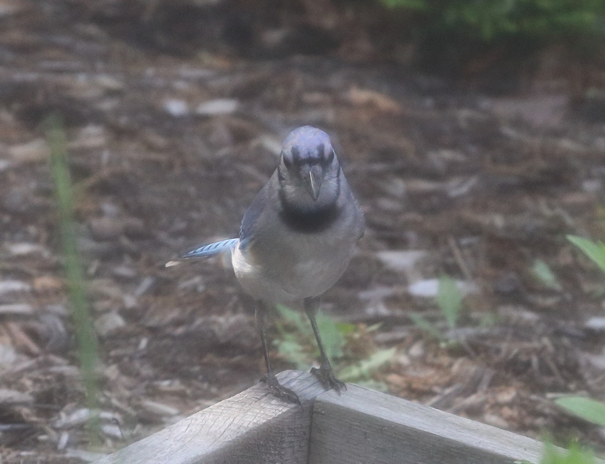 IMG_0284_realreality productions_2016_05_31UP