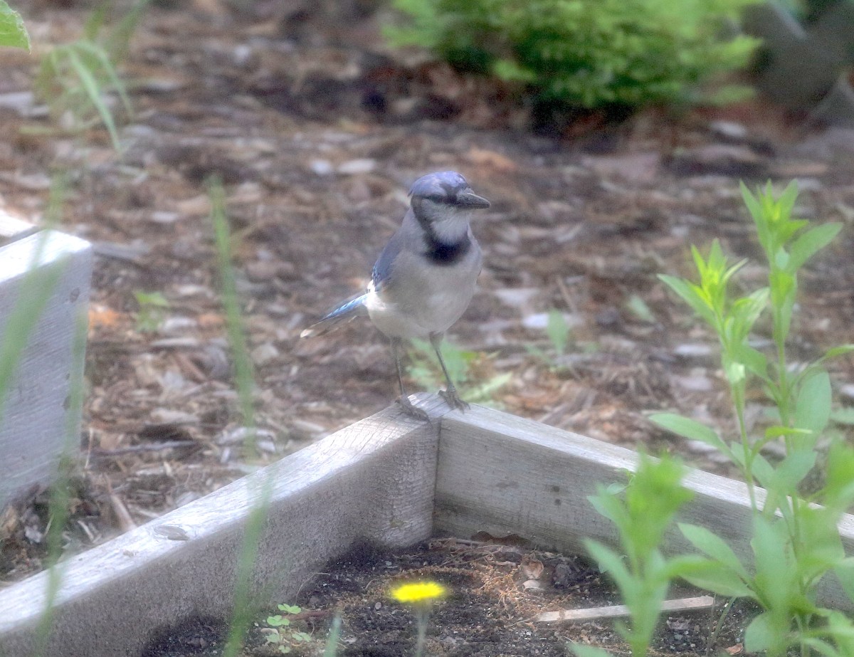 IMG_0287_realreality productions_2016_05_31UP